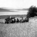 Maximizing Tax Benefits for Small Farms in Southeastern Washington