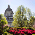 The Impact of Tax Policies on the Economy of Southeastern Washington: An Expert's Perspective