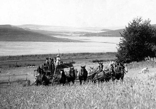 Maximizing Tax Benefits for Small Farms in Southeastern Washington